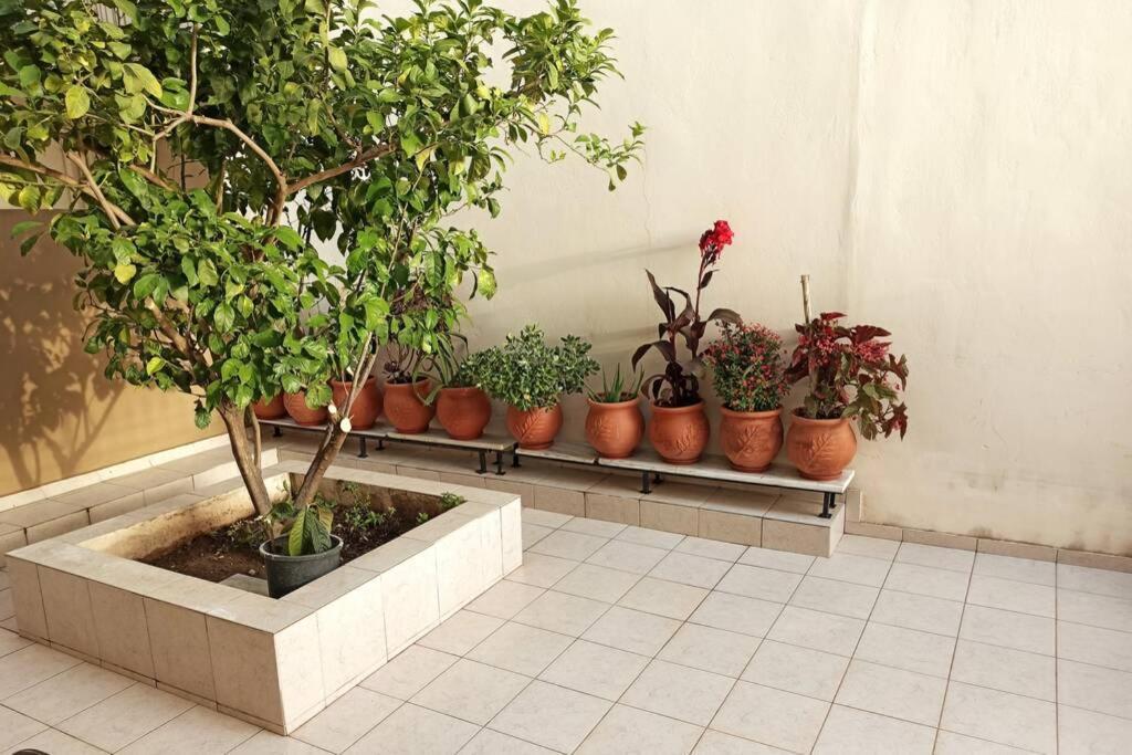 Jilda S Apartment With Private Garden! Návplio Eksteriør bilde